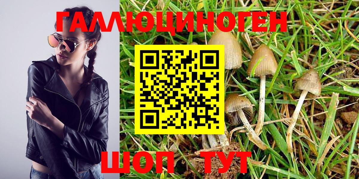 Псилоцибиновые грибы Magic Shrooms  Вход с VPN  Галлюциногенные грибы Cubensis  Павлово 
